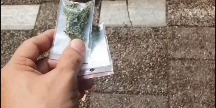 Narcomenudeo va al alza en Zacatecas; se ha incrementado 37.7 por ciento