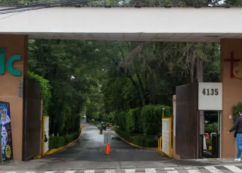 Alcaldía Tlalpan autoriza derribo de árboles en la Universidad Intercontinental
