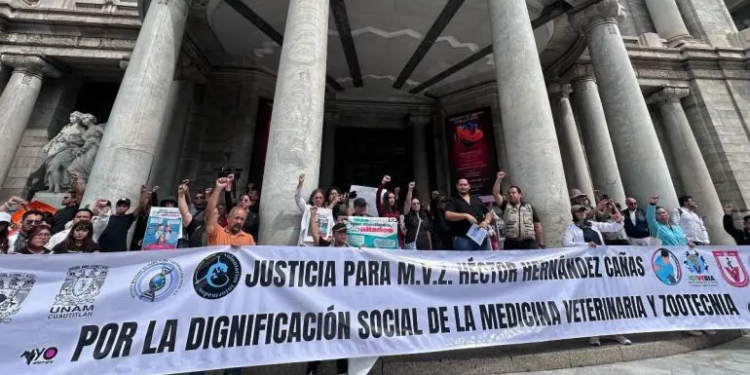 Veterinarios exigen iniciativa para protegerse ante asesinatos; ‘No nos maten’, claman