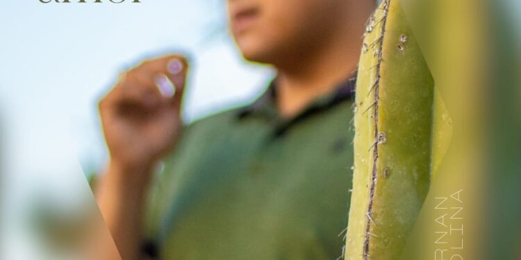 Fernan Molina lanza su nuevo sencillo «Historia de un amor»: Un viaje emocional a través de la música