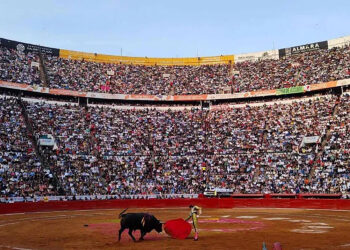 Congreso CDMX aprueba dictamen de corridas de toros sin violencia