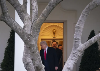 Trump confía en que Putin acepte el acuerdo de alto el fuego en Ucrania