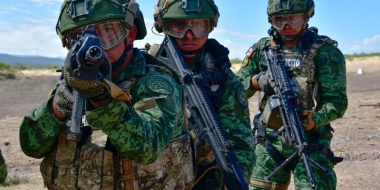 Ejército Mexicano erradicó 331 plantíos de enervantes