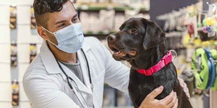 Día Mundial de la Vacunación Animal Más del 33% de los responsables de animales de compañía en México nunca llevan a sus mascotas al Médico Veterinario