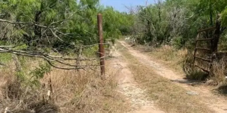 Localizan seis torsos completos en fosas de un rancho en Reynosa, Tamaulipas
