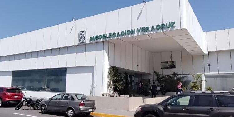 Licitación en IMSS Veracruz Norte eleva gasto en compra de tóner 