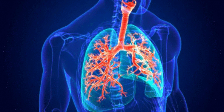 Innovación en el manejo de enfermedades respiratorias: inmunización y educación médica continua como ejes de transformación