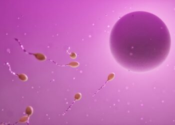 47 años de Fecundación In Vitro, actualmente 4 mil nacimientos al año en México. El arte de disfrutar con estilo y sentido.