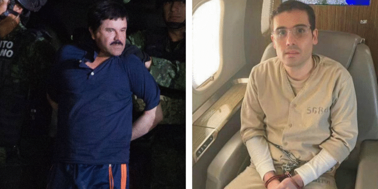 La salud mental de los Guzmán: lo que han revelado los juicios del “Chapo” y Ovidio