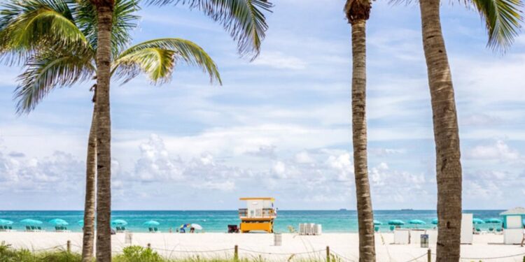 PayPal Pay Later: la fórmula que aumenta ventas de turismo internacional