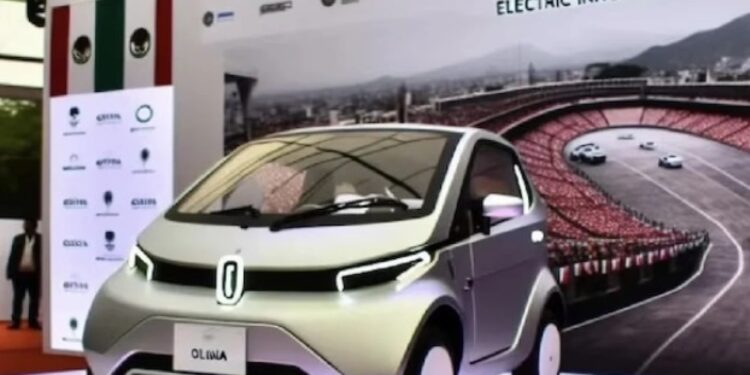 ¿Cómo es Olinia y para quiénes está diseñado?