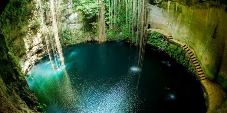 Cenotes sagrados de Yucatán: naturaleza viva de un legado maya