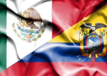 Borrador automático