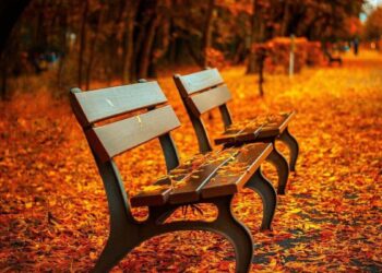 🌍🍂 El equinoccio de otoño 2025: el momento en que el día y la noche duran lo mismo 🍂🌍