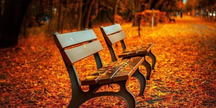 🌍🍂 El equinoccio de otoño 2025: el momento en que el día y la noche duran lo mismo 🍂🌍