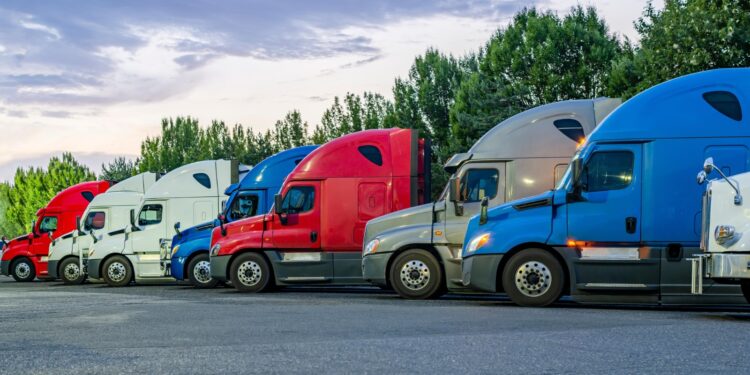 ANPACT señala volatilidad en agosto y urge renovar flota; pide freno a usados importados