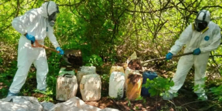 Aseguran 13 áreas de concentración de químicos y un narcolaboratorio en Sinaloa