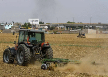 Bienestar otorga apoyos de 6 mil a 24 mil pesos a productores mexicanos; PASO A PASO para obtener la ayuda