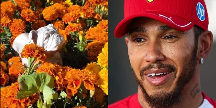 El GP de México recuerda a Roscoe, mascota de Hamilton