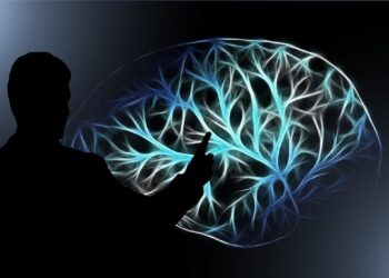 UDIT demuestra con evidencia neurocientífica que hablar más de un idioma modifica el cerebro