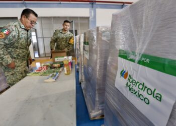Iberdrola México entrega 1,500 despensas para las familias afectadas por las lluvias