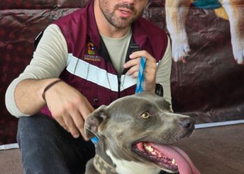 Óscar Rébora anuncia nuevas fechas de la Caravana de Bienestar Animal en Quintana Roo