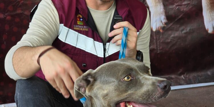 Óscar Rébora anuncia nuevas fechas de la Caravana de Bienestar Animal en Quintana Roo