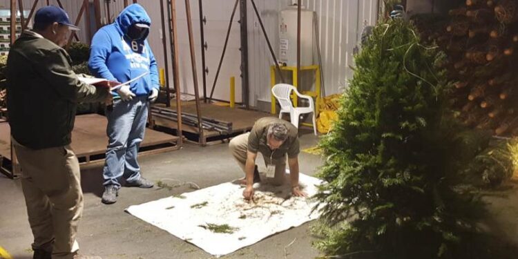 Hallan en terreno baldío en Michoacán el cilindro con gas cloro por el que se emitió alerta en seis estados