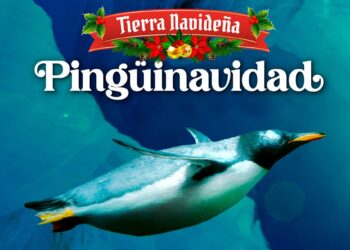 ¡Esta Navidad, tus sonrisas valen el doble en Acuario Inbursa!