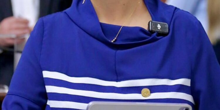 Crucial que reforma al código penal tipifique y sancione más severamente el acoso callejero: Liz Salgado