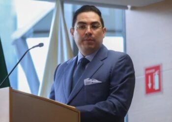 Borrador automático