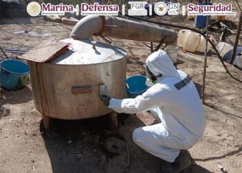 Desmantelan narcolaboratorios en Michoacán, Durango y Sinaloa: García Harfuch