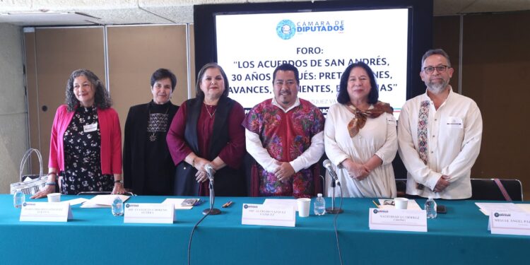 Organizaciones indígenas afirman que persisten omisiones legislativas, recortes presupuestales y una deuda histórica en materia de representación política