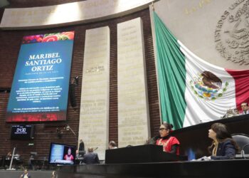 Necesario, integrar las 68 lenguas nacionales a la vida pública, plantea hablante de tu’un savi a diputadas y diputado