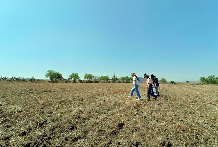 El agua en 2026: por qué la gestión del agua debe partir de la cuenca, el territorio y los datos 