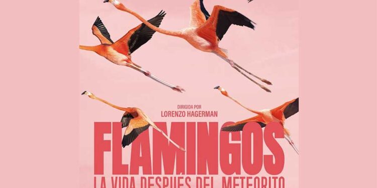 En el Día Mundial de la Naturaleza se anuncia el estreno del documental Flamingos: la vida después del meteorito