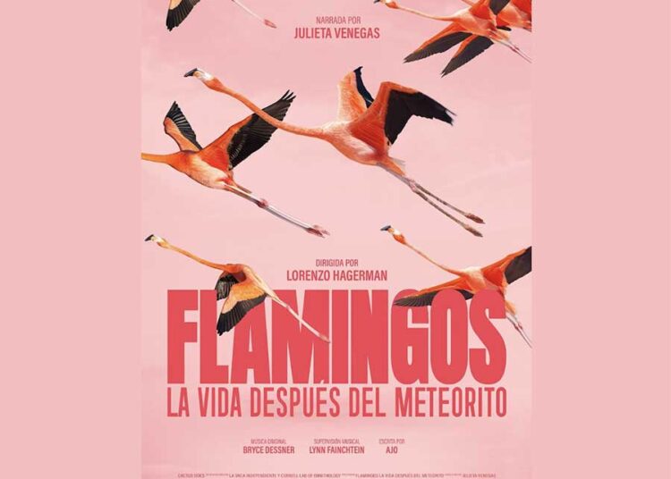 En el Día Mundial de la Naturaleza se anuncia el estreno del documental Flamingos: la vida después del meteorito