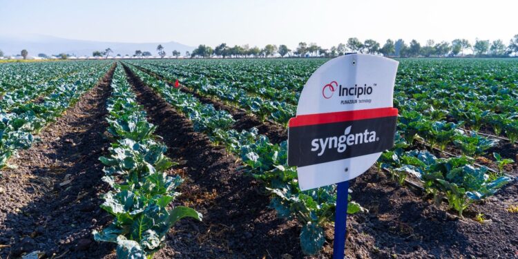Syngenta acerca innovación y tecnología al campo mexicano con el lanzamiento de Incipio®