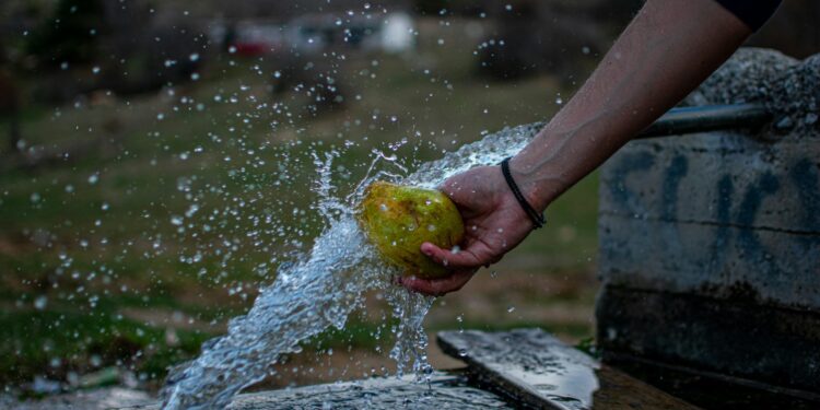Agrava presión sobre agua, suelo y clima por desperdicio alimentario