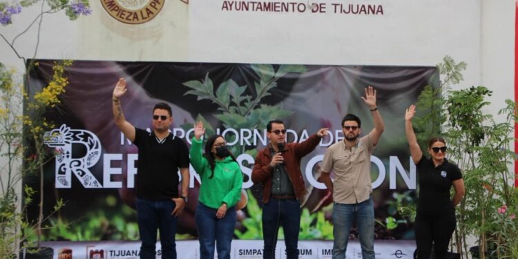 UPS impulsa intervención de fortalecimiento de arbolado urbano en Tijuana bajo criterios de ingeniería ecológica