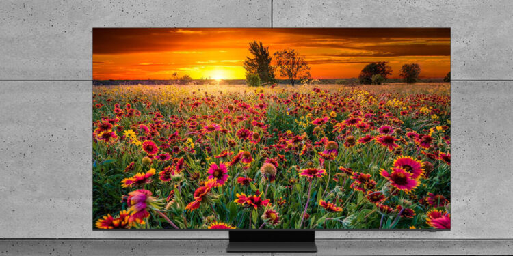 Pantallas pensadas para ver mejor y sentirse mejor