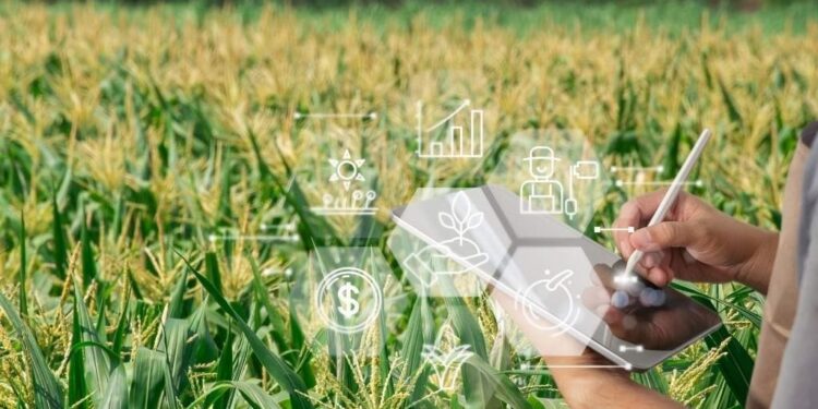 Bioenergía y sistemas de gestión: una palanca para el crecimiento sostenible del agro en México