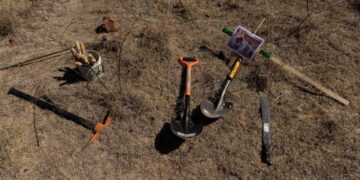 Colectivo de buscadoras encuentra más de 30 osamentas en presunto cementerio clandestino en Sonora