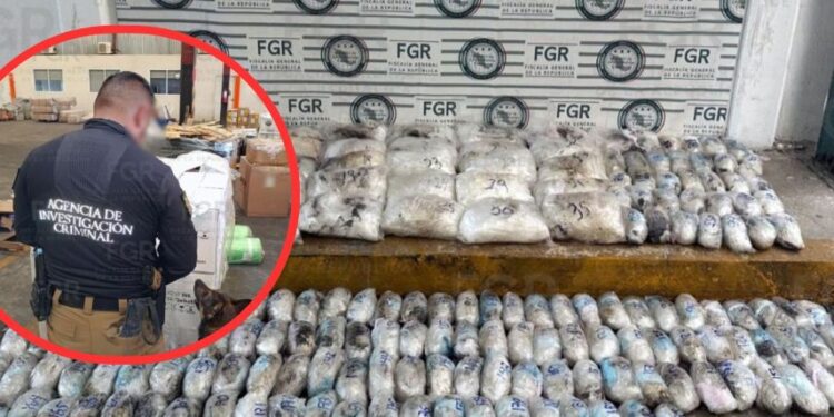Aseguran más de 145 kilos de metanfetamina en paquetería de Hermosillo