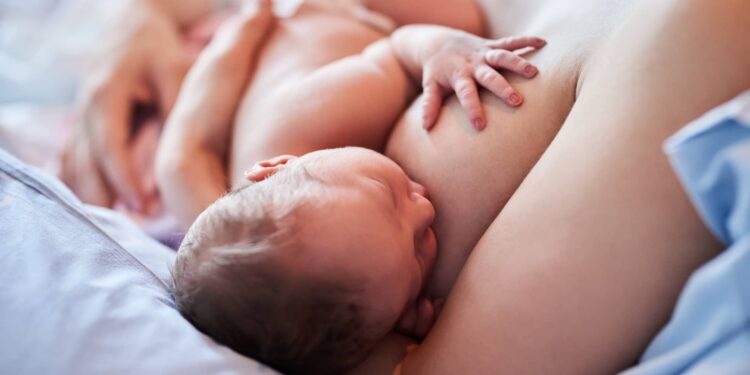 Semana Mundial de la Lactancia Materna: alimentando con amor y salud