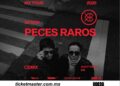 Peces Raros regresa a México para hacer vibrar a sus fans con su poderosa fusión de rock y electrónica
