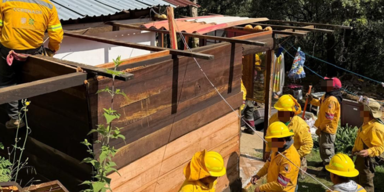 Victoria ambiental en Xochimilco: se recuperan casi 6 hectáreas clave para frenar la urbanización