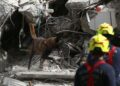 Terremoto en Colombia: Asciende a 239 la cifra oficial de muertos tras sismo de magnitud 7.4