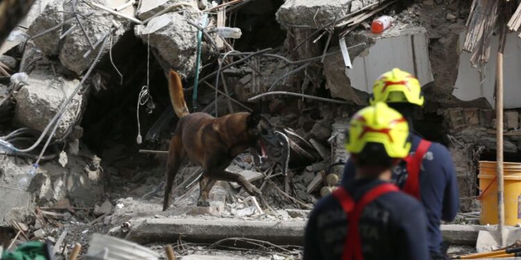 Terremoto en Colombia: Asciende a 239 la cifra oficial de muertos tras sismo de magnitud 7.4