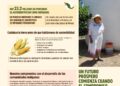 TODO FUTURO PRÓSPERO COMIENZA POR HONRAR SUS RAÍCES